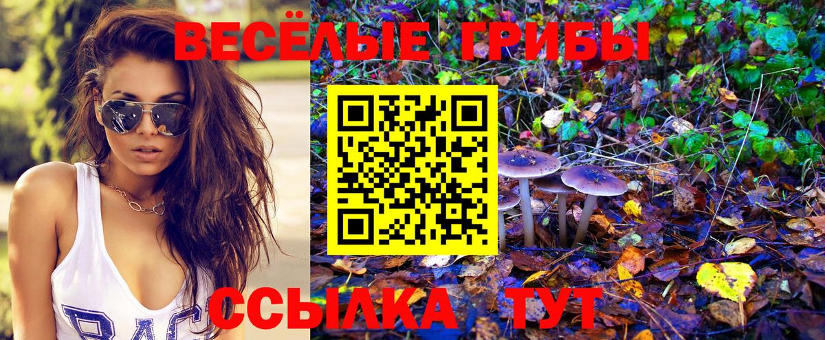 Галлюциногенные грибы прущие грибы Сергиев Посад