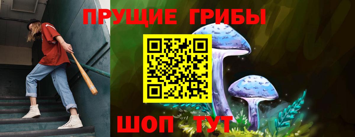 Сергиев Посад  Псилоцибиновые грибы Psilocybe  Галлюциногенные грибы GOLDEN TEACHER  Вход с VPN 